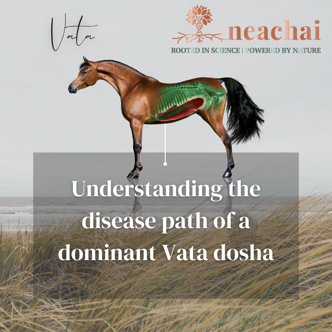 Disease path of Vata Dosha