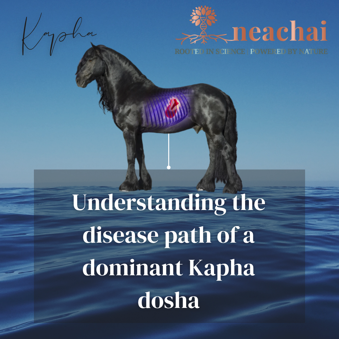 Disease path of Kapha Dosha