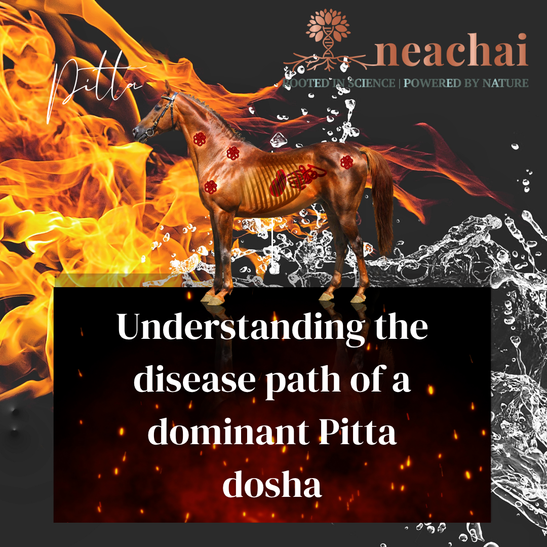 Disease path of Pitta Dosha