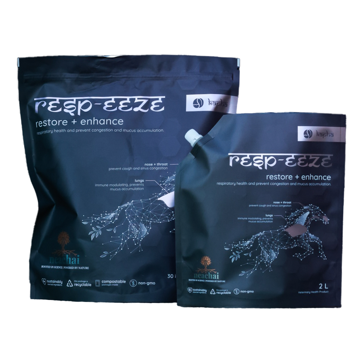 Resp-eeze Kapha Restore + Enhance Respiratory Function front of package