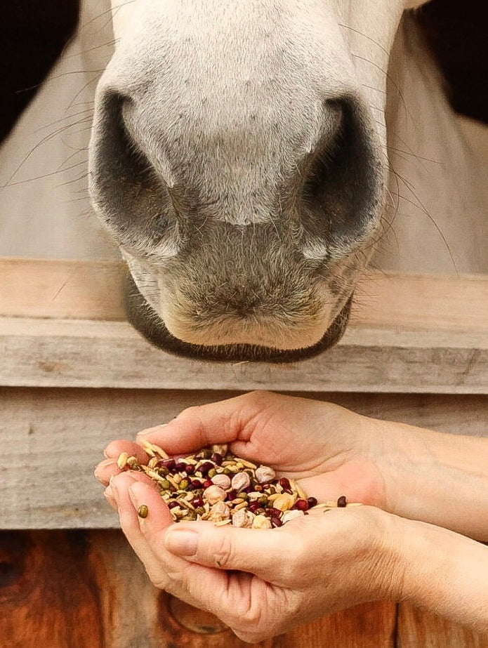 neachai-equine-ayurveda-2237.myshopify.com image