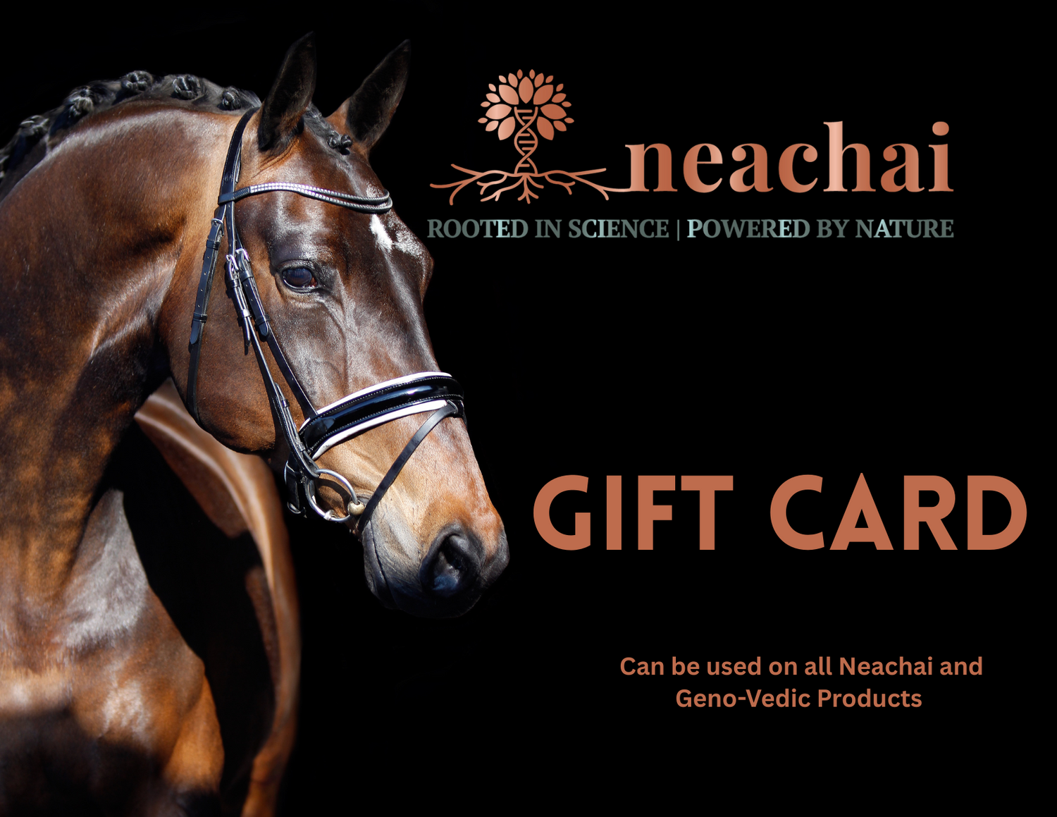 Neachai Equine Ayurveda Gift Card